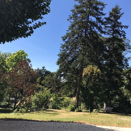 Charmant F1 Avec Terrasse Et Vue Sur Jardin Arbore - Fraicheur Naturelle Du Rez De Jardin - Parking Bellerive-sur-Allier Exterior foto