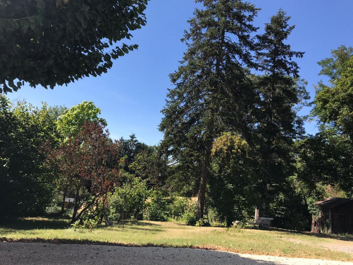Charmant F1 Avec Terrasse Et Vue Sur Jardin Arbore - Fraicheur Naturelle Du Rez De Jardin - Parking Bellerive-sur-Allier Exterior foto